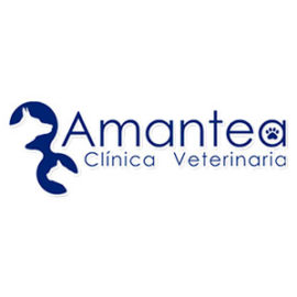 Clínica Veterinaria Amantea